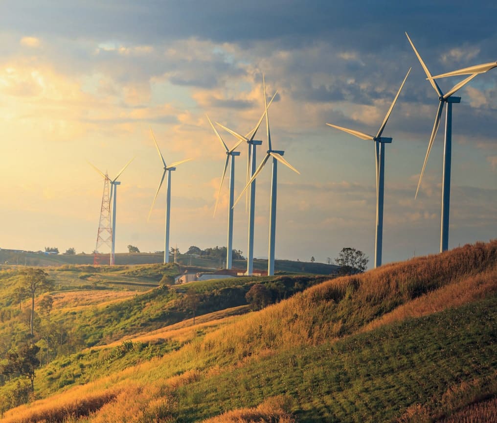 row of wind turbines at dusk