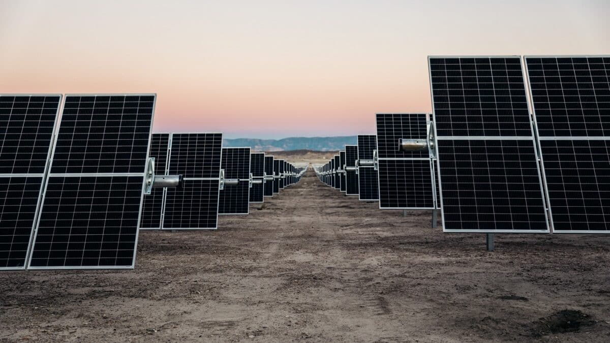 looking down a row of solar panels at dusk