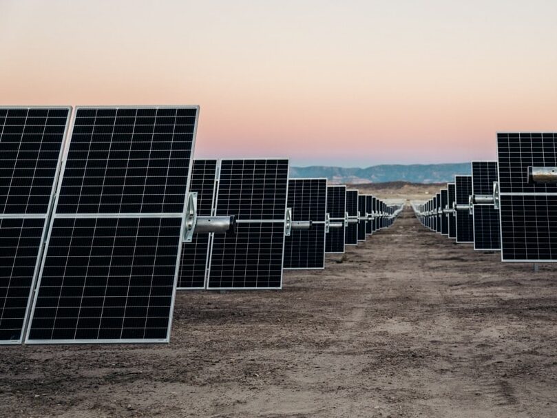 Solar panels in field at sunset
